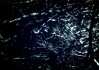 世界短道速滑教练能力认证第廿二期考试安排公布，短道速滑教练证怎么考取